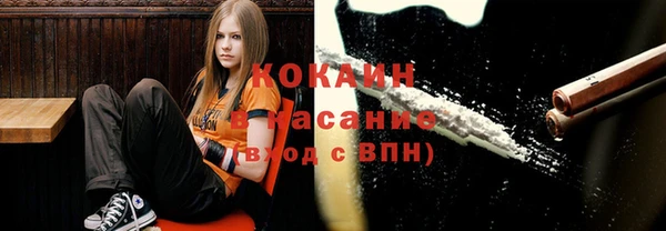 ГАЛЛЮЦИНОГЕННЫЕ ГРИБЫ Балахна