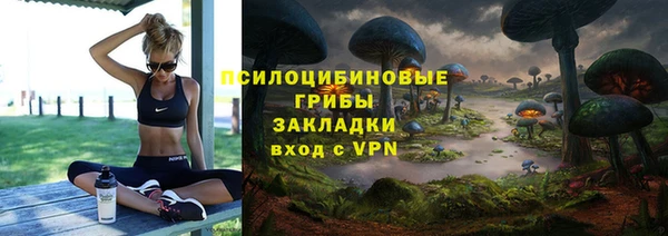 ГАЛЛЮЦИНОГЕННЫЕ ГРИБЫ Балахна