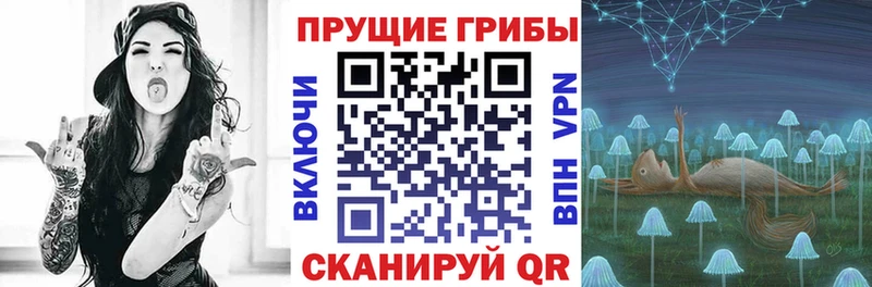 Галлюциногенные грибы Psilocybe  Ленск 